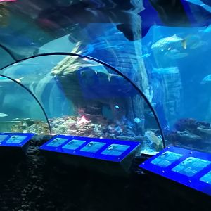 Sea Life Munich