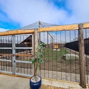 Puma exhibit, Wolds Wildlife Park