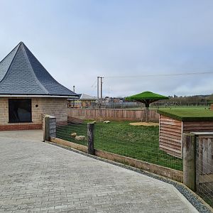 Tortoise exhibit, Wolds Wildlife Park