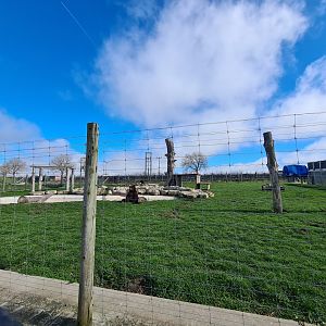 Brown Bear exhibit, Wolds Wildlife Park