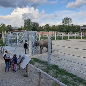 Elephant exhibit