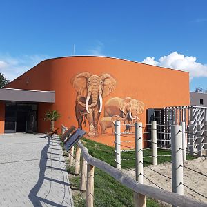 Elephant exhibit
