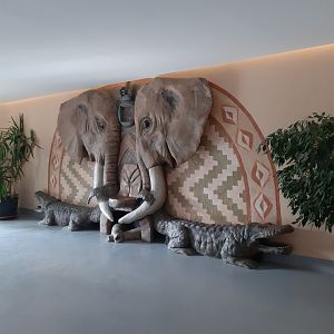 Elephant exhibit