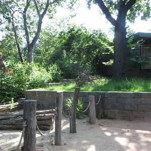 Bat-eared fox walkthrough