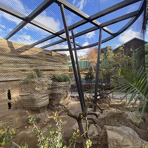 Black-tailed Prarie Dog Habitat (Cynomys ludovicianus) - Wildlife Explorers Basecamp (Desert Dunes)