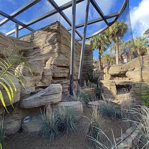 Fennec Fox Habitat (Vulpes zerda) - Wildlife Explorers Basecamp (Desert Dunes)