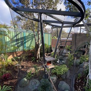 Animal Ambassador Habitat - Wildlife Explorers Basecamp