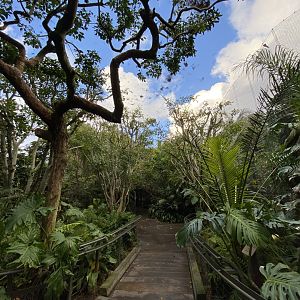View of Parker Aviary