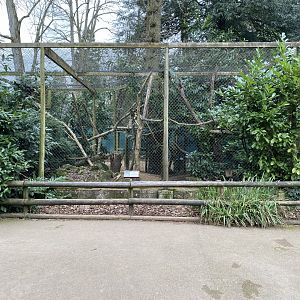 Pallas' cat enclosure 280222