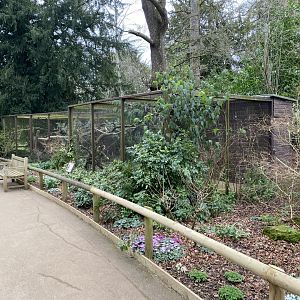 Smaller owl aviaries 280222