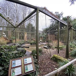 Large wading bird aviary 280222