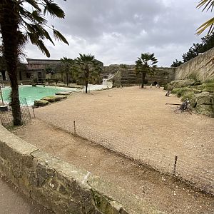 Walled Garden - Humboldt penguin enclosure 280222