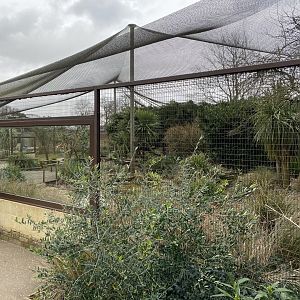 Walled Garden - Large aviary 280222
