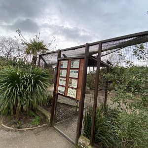 Walled Garden - Large aviary 280222