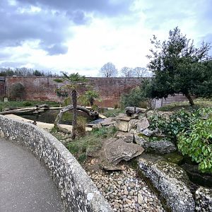 Walled Garden - Asian small-clawed otter enclosure 280222