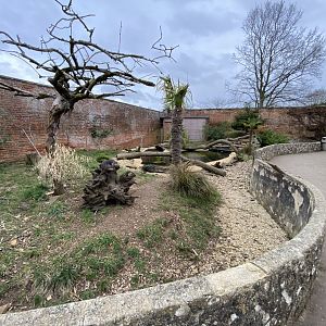 Walled Garden - Asian small-clawed otter enclosure 280222