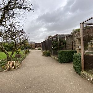 Walled Garden - Aviaries 280222