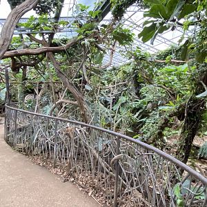 Walled Garden - Tropical House 280222