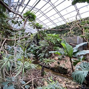 Walled Garden - Tropical House 280222