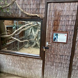 Walled Garden - Tropical House - Green aracari aviary 280222