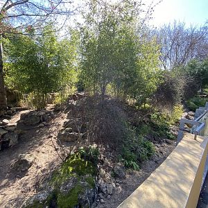 Otter Holt - Asian small-clawed otter enclosure 180322