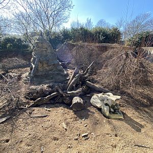 Meerkat enclosure 180322