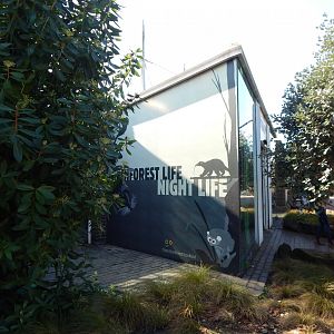 Rainforest Life/Night Life entrance 180322