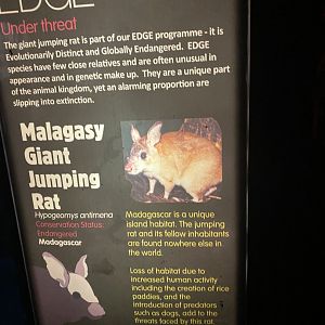 Night Life signage example 180322