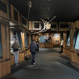 In with the lemurs 180322