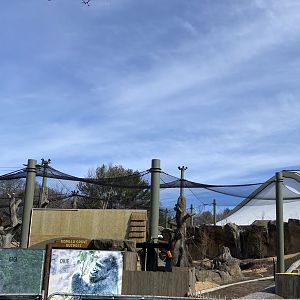 Gorilla Grove 30/3/22