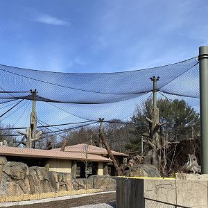 Gorilla Grove 30/3/22