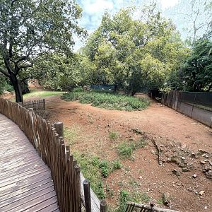 Emu Enclosure (Dromaius novaehollandiae)