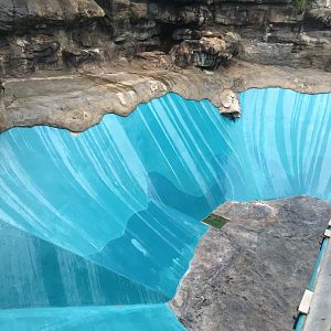 Empty Australian Sea Lion enclosure