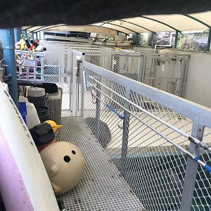 Behind the scenes Sea Lion pools