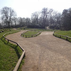 Part of macaque walk-through