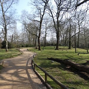 Part of macaque walk-through (2)