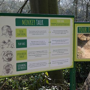 Barbary macaque behaviour signage