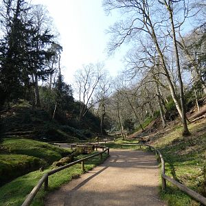 Part of macaque walk-through (3)