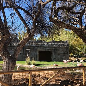 Flamingo Exhibit