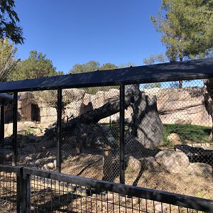 Andean Bear Exhibit