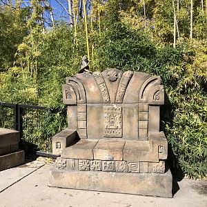 Bench in South America area