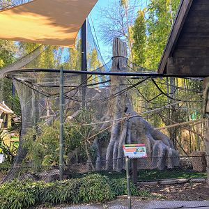 Squirrel Monkey Exhibit
