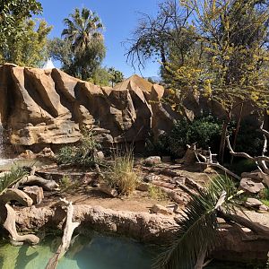 Spotted-necked Otter Exhibit