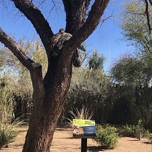Artificial African Rock Python in Expedition Tanzania