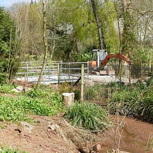 Bridge Over Muddy Waters, March 2022