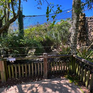 Extra Barriers Added In Front Of Jaguar Exhibit