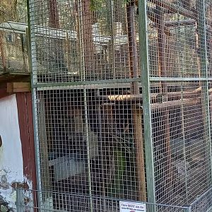 Indoor- and holding cages Barbary monkey's