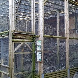 Walk-in aviary
