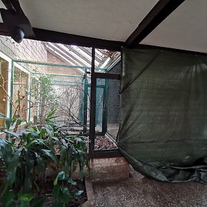 Renovations in Pukara