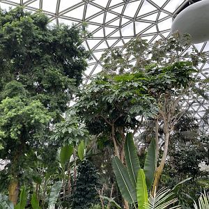 General View of the Conservatory